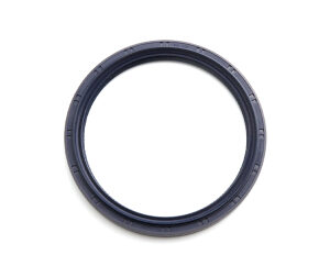Oil Seal Viton